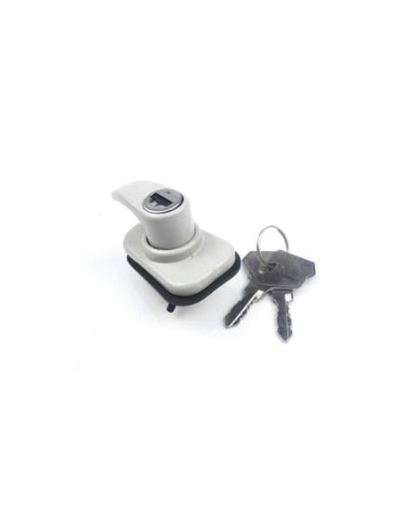 Comprar Manecilla portón trasero Renault 4 7701029070