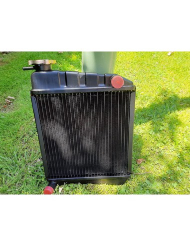 Comprar Radiador refrigeración Authi Morris 1100 / 1275 GT /