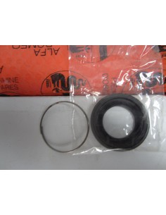 Comprar Juego de reparación, pinza de freno 33, 60750775 online