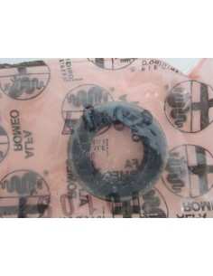 Comprar Anillo retén, árbol de levas Alfa Romeo 33, Alfa