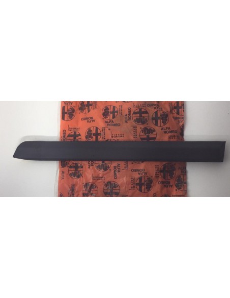 Comprar Tira protectora parte lateral exterior trasero inferior