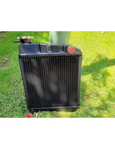 Comprar Reparación y limpieza de radiador. online