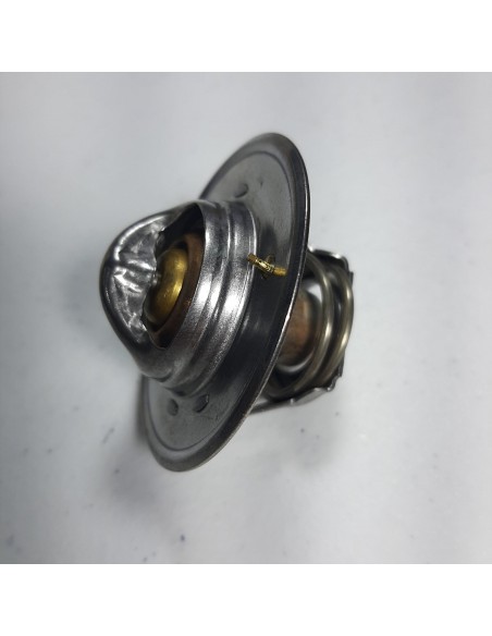 Termostato AUSTIN MINI, AUSTIN Victoria, AUSTIN Metro, AUSTIN Maestro