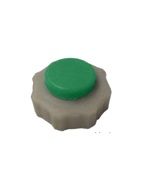 Tapón Botella Presión [bar] 1,2 Renault 21 Clio Renault Espace Kangoo Renault Laguna Twingo Trafic Megane 7700805031