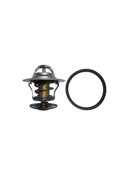 Termostato Ford ESCORT IV, Ford FIESTA II, Ford GALAXY, Ford ORION II 044121113