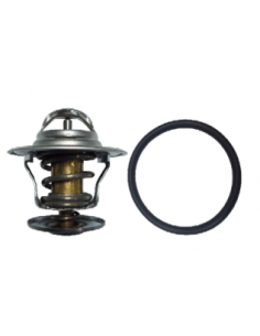 Termostato SEAT ALHAMBRA, SEAT CORDOBA, SEAT IBIZA, SEAT INCA, SEAT LEÓN, SEAT TOLEDO 044121113