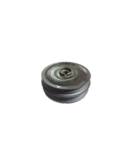 Polea de cigüeñal BMW E39 BMW E46 LGH100750