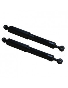 Amortiguadores traseros Citroen 2CV, Citroen Dyane