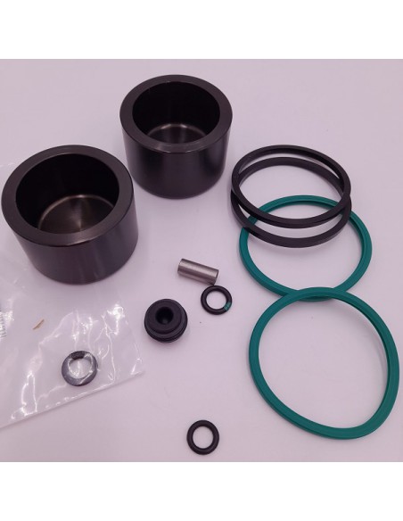 Kit reparación pinza freno Citroen 2CV Citroen Dyane