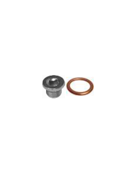 Kit Tapón cárter y junta Renault 19 21 25 Clio Espace Espress Master Super 5 Trafic Twingo 7703075210