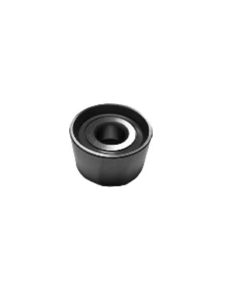 Polea Tensor Renault Master Trafic 4740846