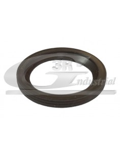 Reten de inyector motor Lancia Ypsilon 55215424