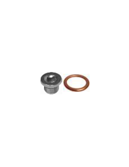 Kit tapón cárter y junta Citroen BX Citroen C15 Citroen C25 Citroen SAXO 7903075033