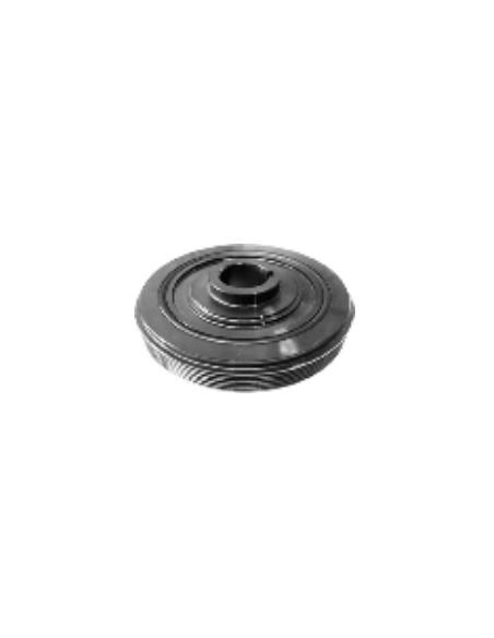 Polea de cigüeñal Citroen BX Citroen C15 0515K9