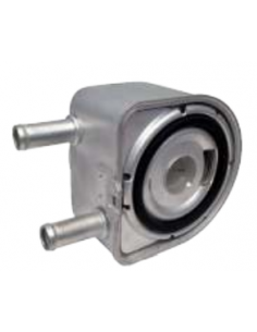 Intercambiador de calor Citroen JUMPER Citroen XANTIA 1103N1