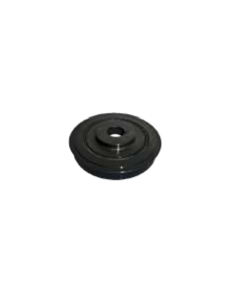 Polea de cigüeñal Citroen XSARA 0515V6