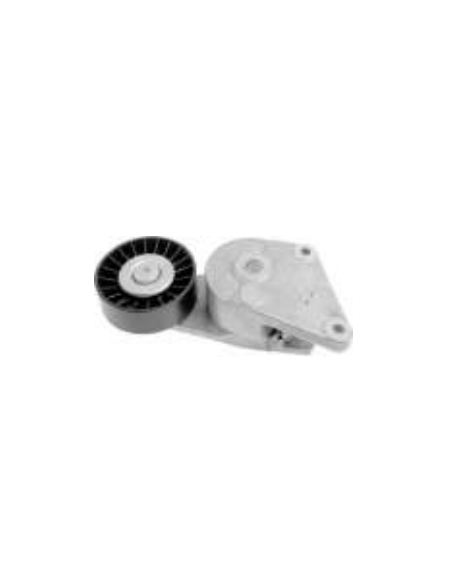 Polea tensor Citroen XANTIA Citroen XM Citroen ZX 575135