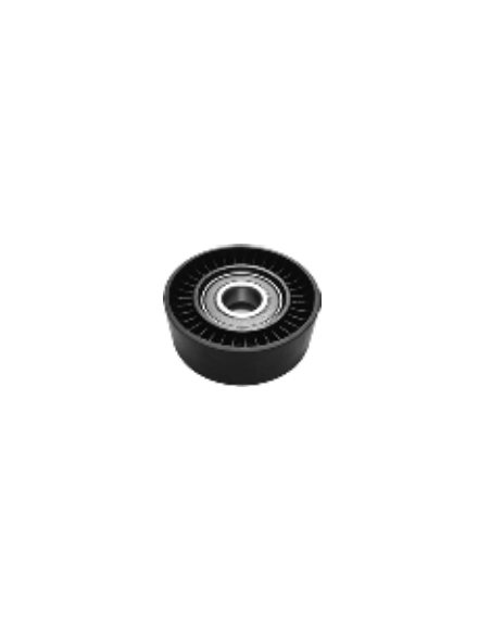 Rodillo Tensor Seat Ibiza II  06A903315D