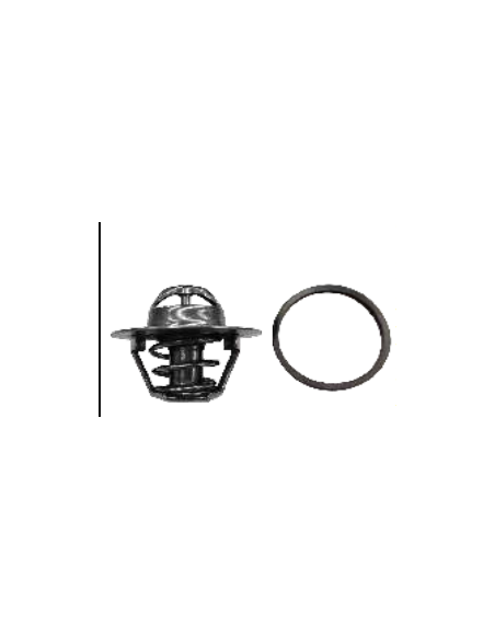 Termostato Peugeot 106 205 605 7700723945 Termostato Peugeot 106 205 605 7700723945