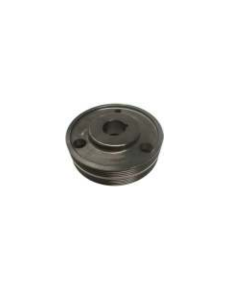 Polea cigüeñal Peugeot 205 309 051594