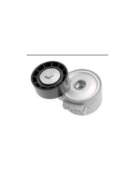 Rodillo tensor Peugeot 306  575174