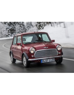 Luna delantera laminada clara Austin Mini