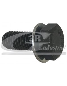 Tornillo de polea de cigüeñal Fiat Brava Bravo Marea Punto 6923G6