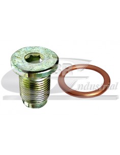 Kit tapón carter y junta Fiat Brava Bravo Marea Punto 46476967