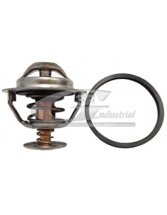 Termostato Fiat Ducato 133823