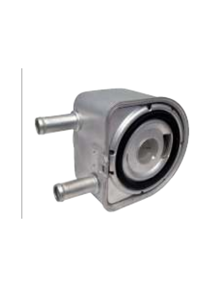 Intercambiador calor Fiat Ducato 1103N1