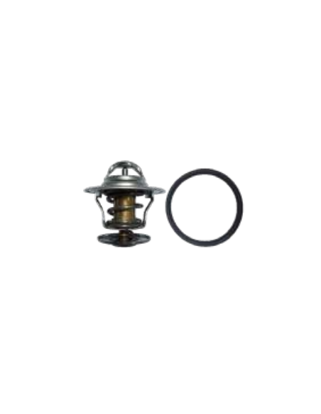 Termostato con junta Ford Escort IV Ford Orion II 044121113