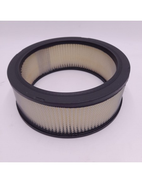 Filtro de aire Dodge Dart