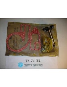 Kit completo reparación bomba de agua Renault 4 R1125 7702000030 7703066208 0607993500 0703500100