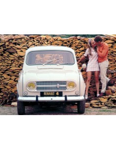 Luna delantera Renault 4, Renault 4F, Renault 4 F6