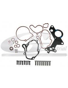 Kit reparación bomba vacío Audi A3 Audi A4 Audi A6 038145209A