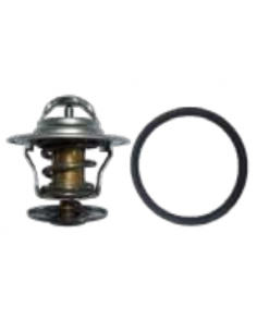 Termostato con junta Audi A3 Audi A4 Audi A6 Audi Coupé 044121113