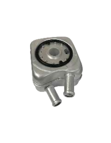 Intercambiador de Calor Audi A3 Audi A4 028117021L