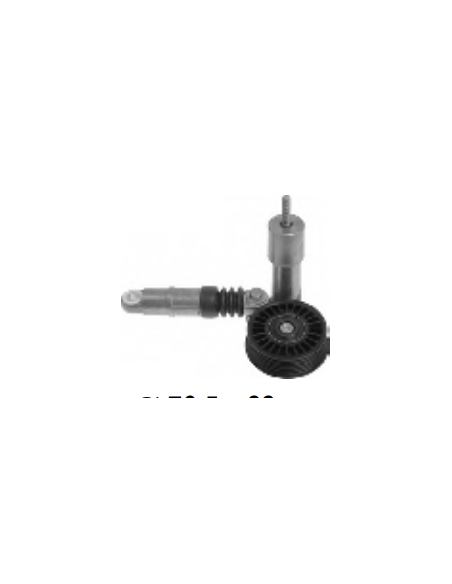 Rodillo tensor Audi A4 Audi A6 038903315P