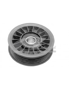 Rodillo tensor Audi A4 Audi A6 028903315M