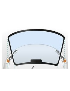 Palabrisas Citroen C25