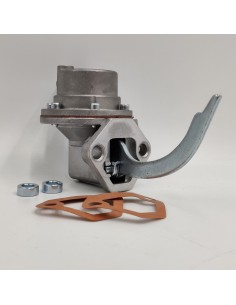 Bomba gasolina Triumph Acclaim  DBP4119 DBP9132