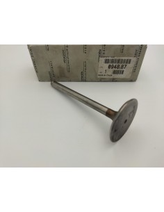 Válvula de escape Peugeot 306 605 406 0948.87 2