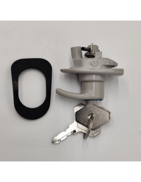 Manecilla portón trasero gris Renault 4 7701029070 7701460762