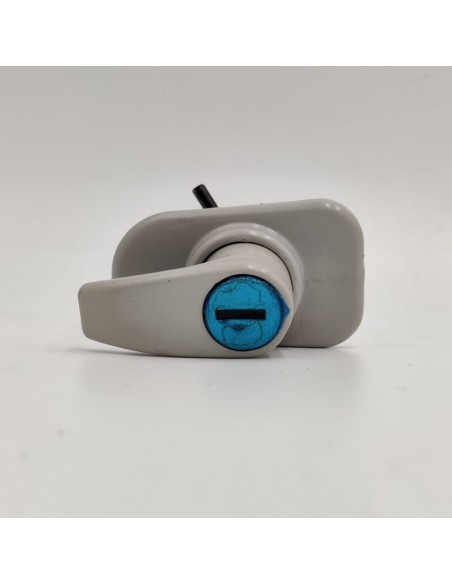 Manecilla portón trasero gris Renault 4 7701029070 7701460762