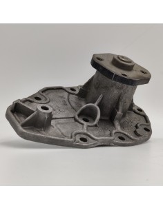Comprar Bomba de agua sin cuerpo Renault R12 Larraz online