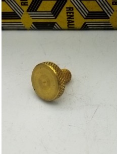 Tornillo purgador M6x100mm Renault 4 Renault 5 Renault 6 Renault 12 Renault 14 7700518589