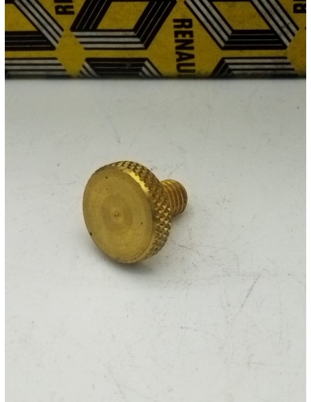 Tornillo purgador M6x100mm Renault 4 Renault 5 Renault 6 Renault 12 Renault 14 7700518589