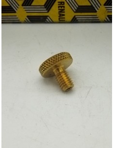 Tornillo purgador M6x100mm Renault 4 Renault 5 Renault 6 Renault 12 Renault 14 7700518589 2