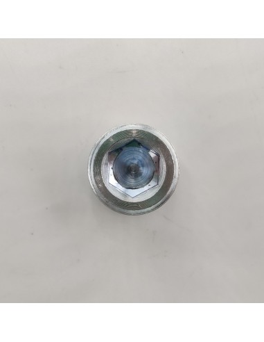 Tapón carter Fiat Brava, Bravo, Cinqueccento, Croma, Marea, Panda, Punto, Seicento, Tempra, Tipo, Uno  NR14325301