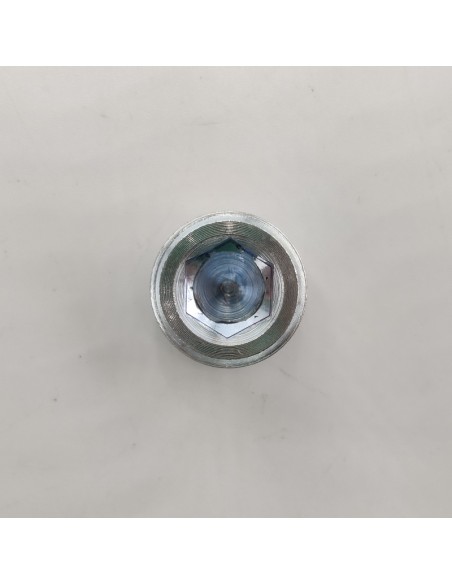 Tapón carter Fiat Brava, Bravo, Cinqueccento, Croma, Marea, Panda, Punto, Seicento, Tempra, Tipo, Uno  NR14325301